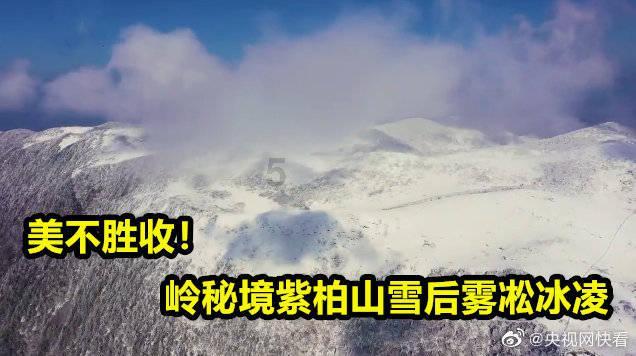 奇幻恐龙世界2