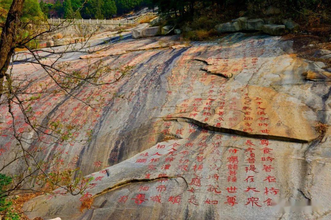 葛荟婕直播怒斥汪峰，自曝18岁小苹果要出道