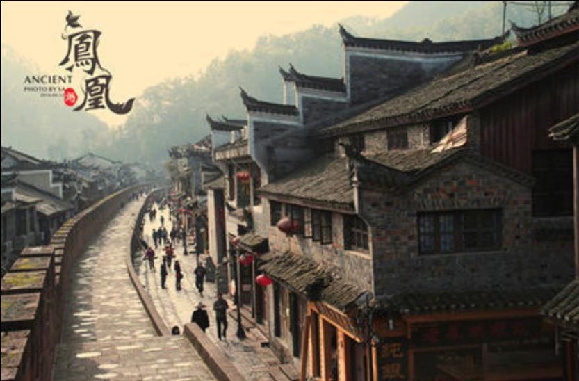 儋州:“村企共建”,铺就乡村振兴路